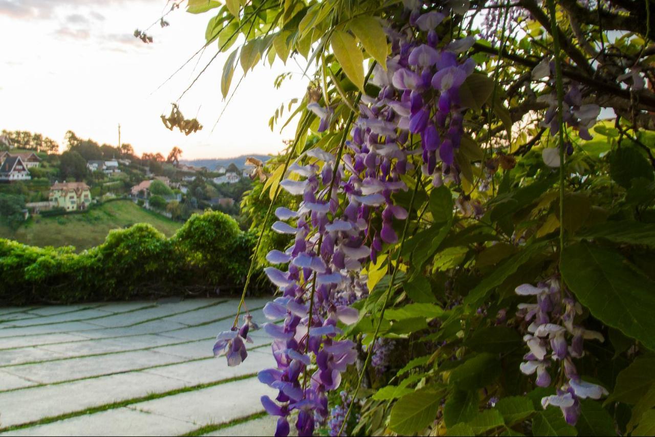Apartamento Para Temporada No Alto Do Capivari Campos do Jordão エクステリア 写真